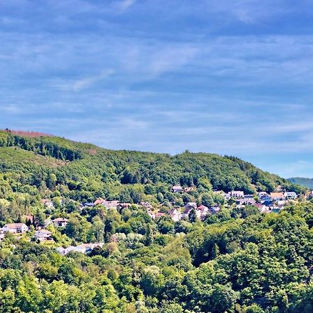 Natur Panorama Suiten Am Rursee Хаймбах Екстериор снимка